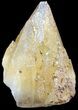 Dogtooth Calcite Crystal - Morocco #50174-1